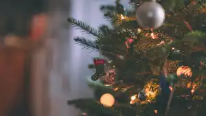 EFIG spreads Christmas cheer amidst a cold Winter